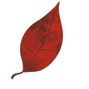 赤い紅葉の落ち葉のイラスト　絵本風　ⒸAtelier Funipo